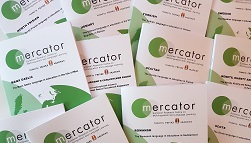 Mercator
                                                    Network Picture